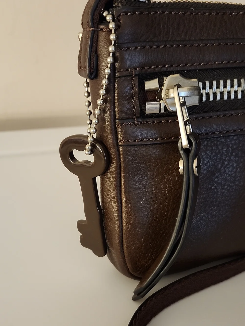 Fossil Dawson Crossbody (New) w/Free Gloria Vanderbilt Change Purse